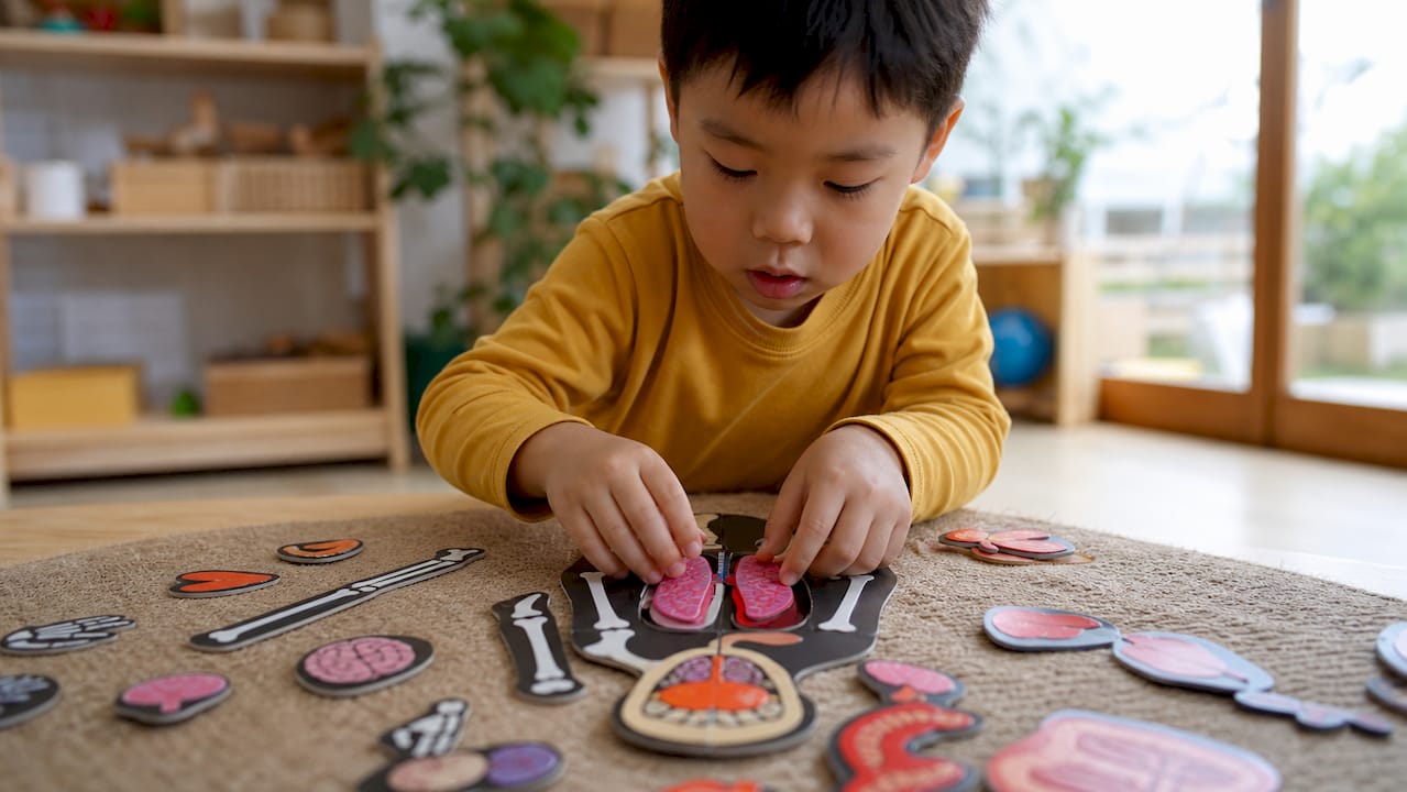 Child assembling human body magnetic layers