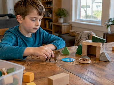 Child arranging resources in a habitat model