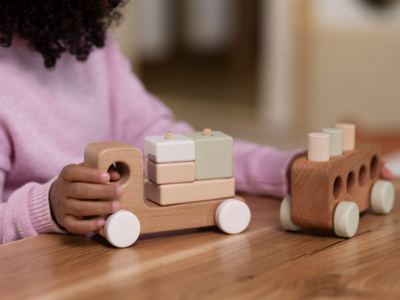Eco Friendly Toys: Why Sustainable Materials Matter in Modern Toy Design