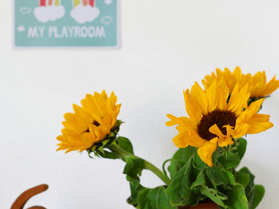 yellow sunflower in brown ceramic vase