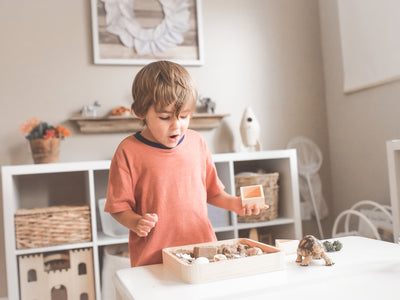 boy in orange crew neck t-shirt standing in front of white wooden table with cupcakes